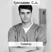 Постер книги Санитар