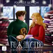 Постер книги Рождество в книжном магазине