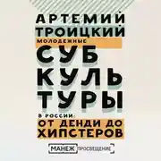 Постер книги Молодежные субкультуры