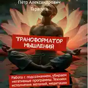 Постер книги Трансформатор Мышления