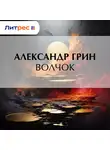 Александр Грин - Волчок
