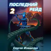 Постер книги Последний рейд 2