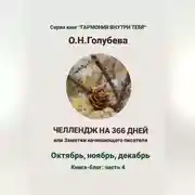 Постер книги ЧЕЛЛЕНДЖ НА 366 ДНЕЙ. Часть 4. Октябрь, ноябрь, декабрь.