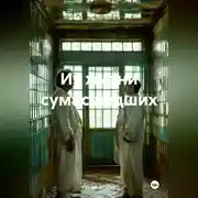 Постер книги Из жизни сумасшедших