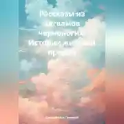 Постер книги Рассказы из вигвамов черноногих. Истории жителей прерий