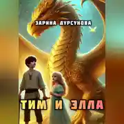 Постер книги Драконьи приключения Тима и Эллы.
