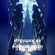 Постер книги Игрушки из Аниной души