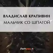 Постер книги Мальчик со шпагой