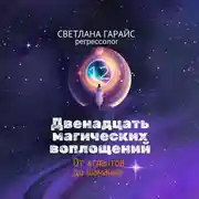 Постер книги Двенадцать магических воплощений