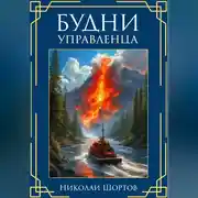Постер книги Будни управленца