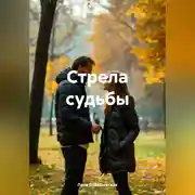 Постер книги Стрела судьбы