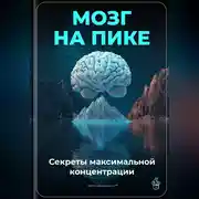 Постер книги Мозг на пике: Секреты максимальной концентрации