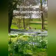 Постер книги Волшебник Великоземья и черный змий