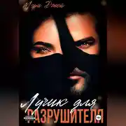 Постер книги Лучик для Разрушителя