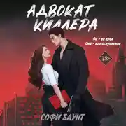 Постер книги Адвокат киллера