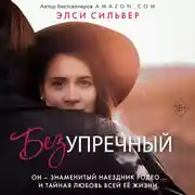 Постер книги Безупречный