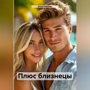 Постер книги Плюс близнецы
