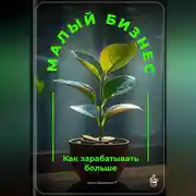 Постер книги Малый бизнес: Как зарабатывать больше