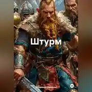 Постер книги Штурм