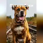 Постер книги Путь собаки.