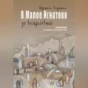 Постер книги В Малое Игнатово до востребования