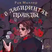 Постер книги В лабиринтах правды