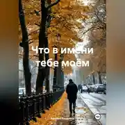 Постер книги Что в имени тебе моём