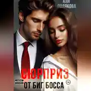 Постер книги Сюрприз от Биг-босса