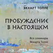 Постер книги Пробуждение в настоящем. Все семинары Экхарта Толле