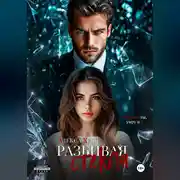 Постер книги Разбивая стекла