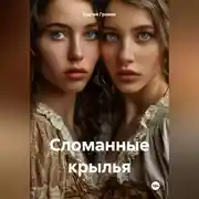Постер книги Сломанные крылья