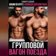 Постер книги МЖММ по кругу. Невинная для властных. Групповой вагон поезда