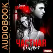 Постер книги Частная Академия. Книга 2. Осколки