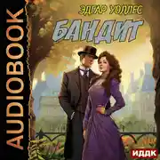 Постер книги Бандит