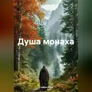 Постер книги Душа монаха