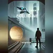 Постер книги Разделенные