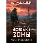 Постер книги Эффект Зоны