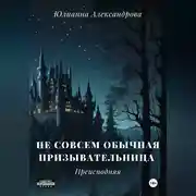 Постер книги Не совсем обычная призывательница. Преисподняя