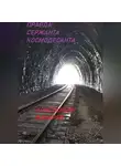 Константин Бахарев - Правда сержанта космодесанта