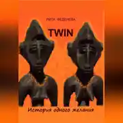 Постер книги TWIN