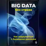 Постер книги Big Data без страха: Как подружиться с большими данными