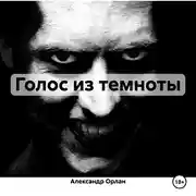 Постер книги Голос из темноты