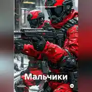 Постер книги Мальчики