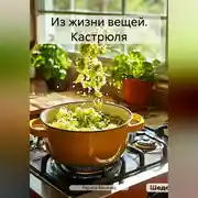 Постер книги Из жизни вещей. Кастрюля