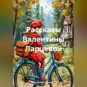 Постер книги рассказы Валентины Ларцевой