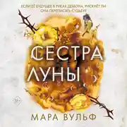 Постер книги Сестра луны