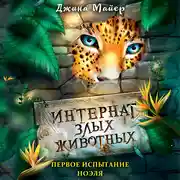 Постер книги Первое испытание Ноэля