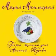 Постер книги Плохой хороший день Алексея Турова
