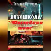 Постер книги Автошкола «Последний шанс»