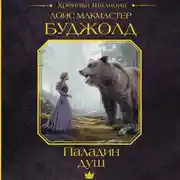 Постер книги Паладин душ